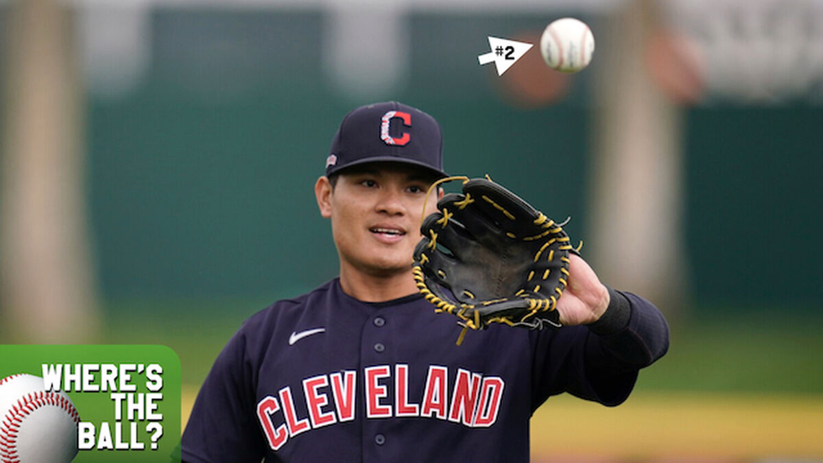Where's the Ball - Baseball Edition image number 2